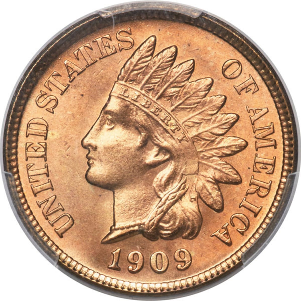 Lincoln Wheat Penny and Indian Head Cent Coin Album, Choose by Type Coin  Collecting Supplies 
