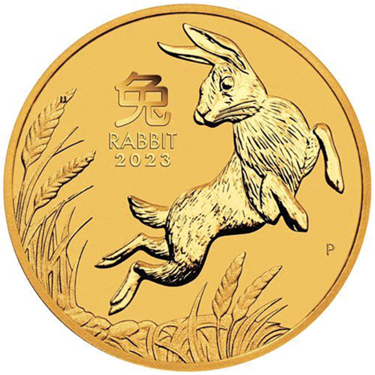 Chinese Zodiac Rabbit Commemorative, 2023 New Year of The Rabbit  Uncirculated Coin, Collector Coin, for Collectors, Craft Decorations, Lucky  Souvenir